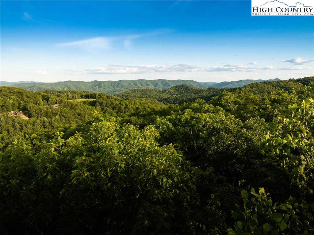 Image number 1 for the current listing