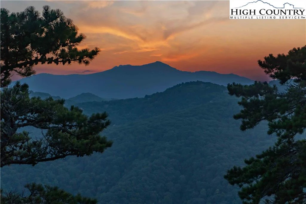 Image number 1 for the current listing