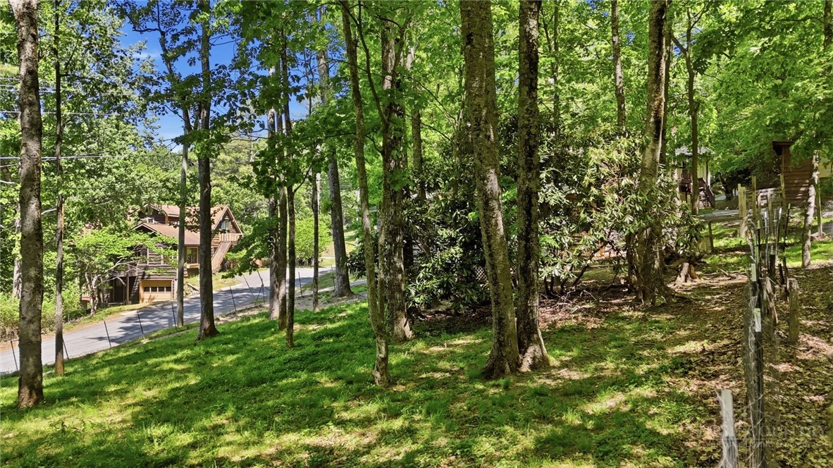 Image number 42 for the current listing