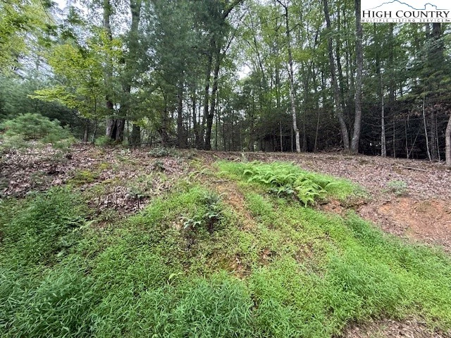 Image number 18 for the current listing