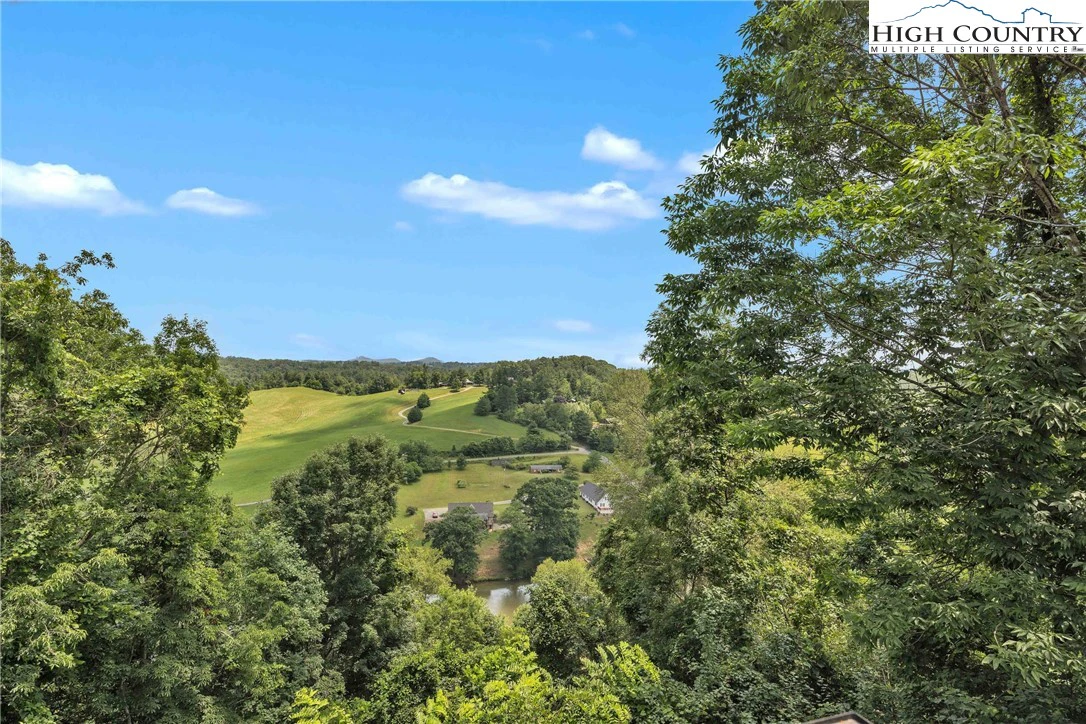 Image number 2 for the current listing