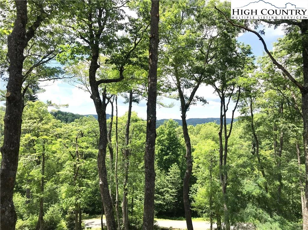 Image number 15 for the current listing