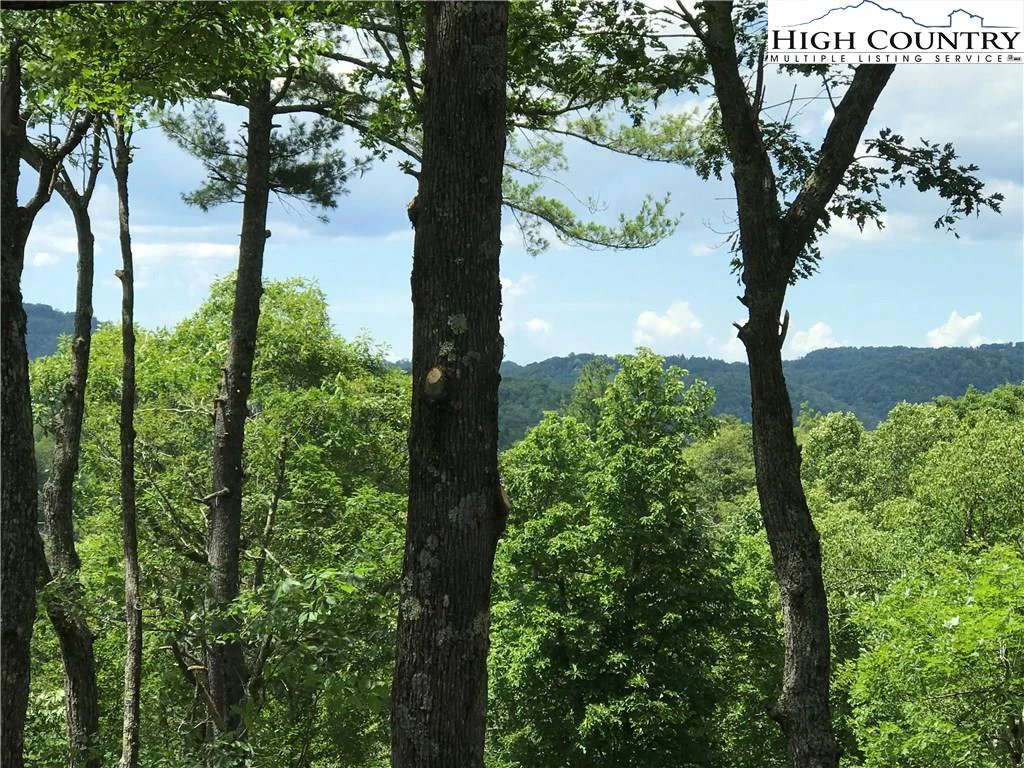 Image number 14 for the current listing