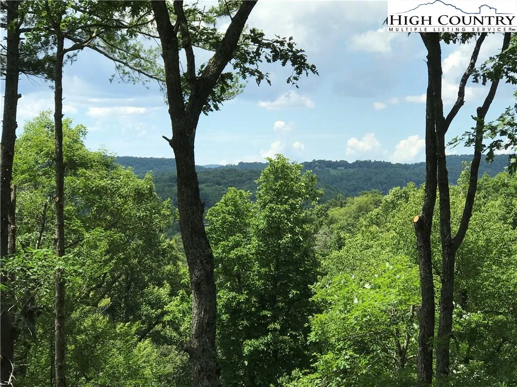 Image number 13 for the current listing