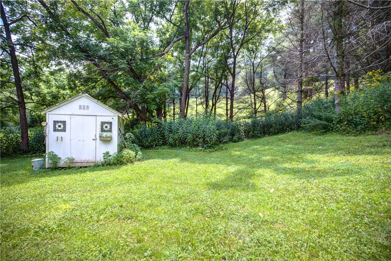 Image number 10 for the current listing