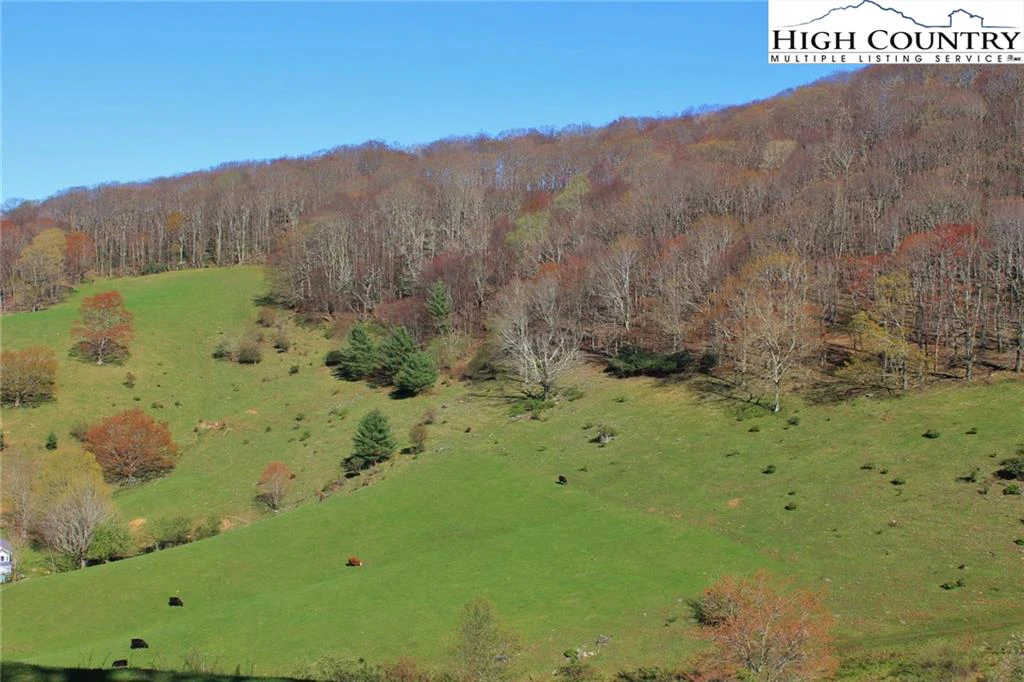 Image number 4 for the current listing
