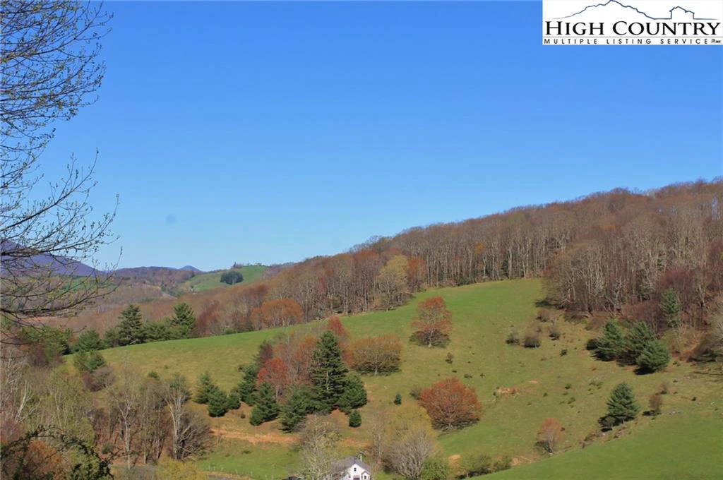 Image number 5 for the current listing