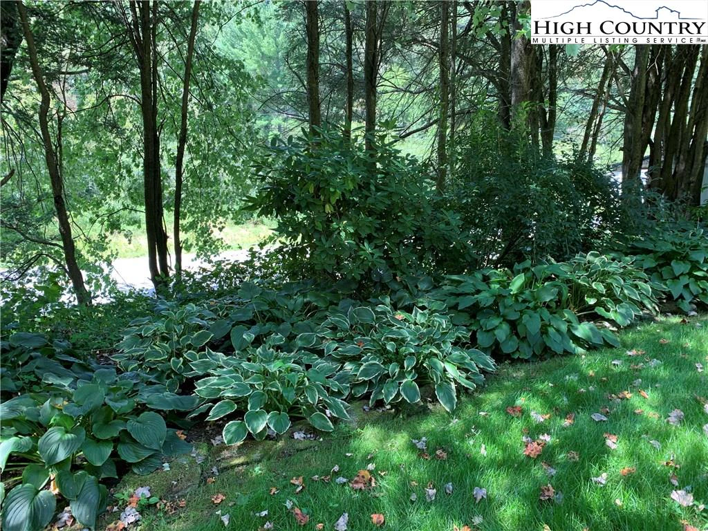 Image number 13 for the current listing