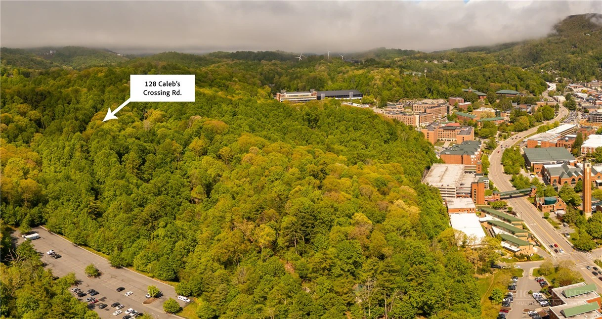 Image number 3 for the current listing