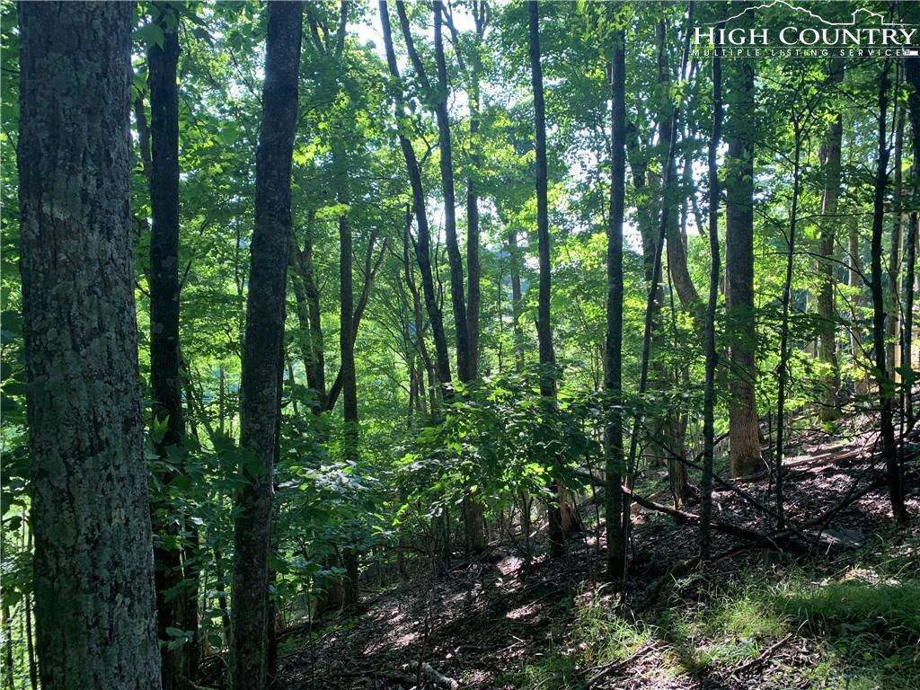 Image number 3 for the current listing