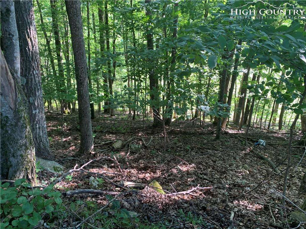 Image number 9 for the current listing