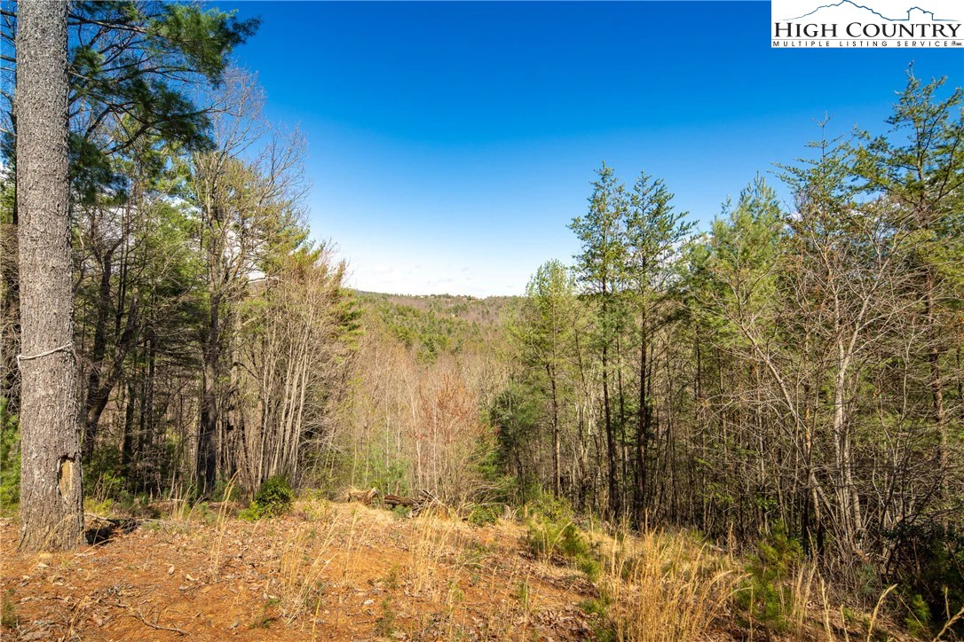 Image number 12 for the current listing