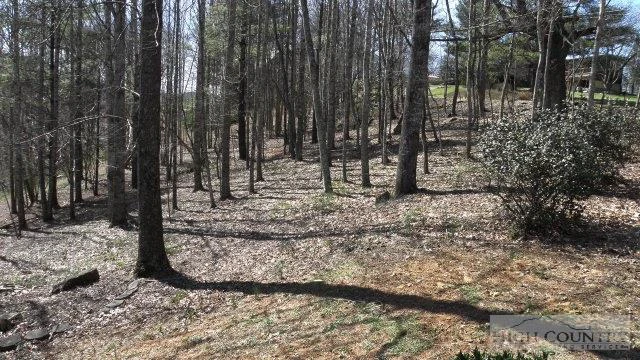 Image number 2 for the current listing
