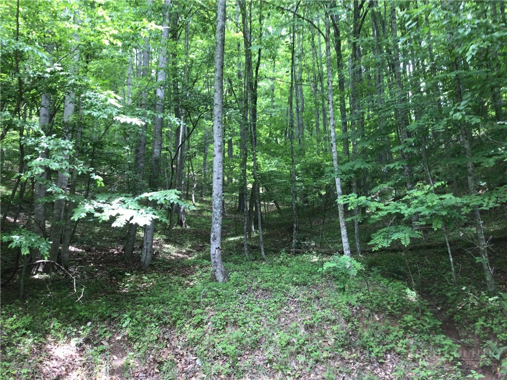 Image number 2 for the current listing