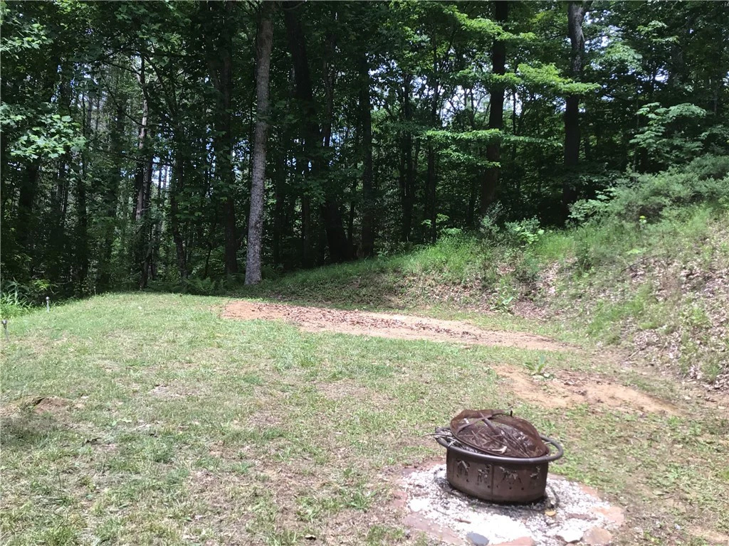Image number 4 for the current listing