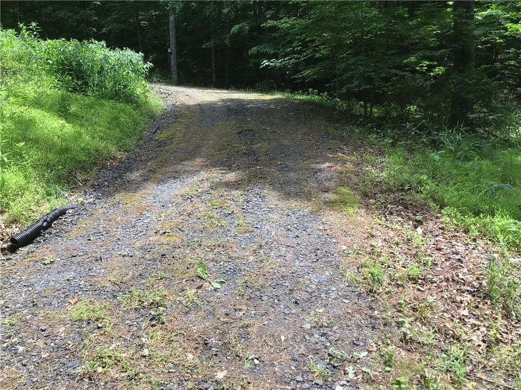 Image number 6 for the current listing
