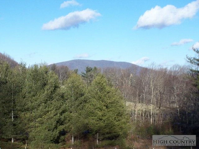 Image number 7 for the current listing