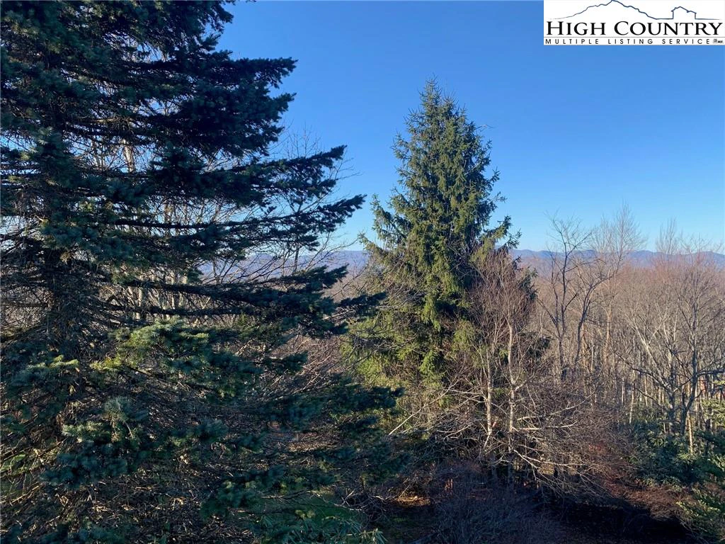 Image number 12 for the current listing