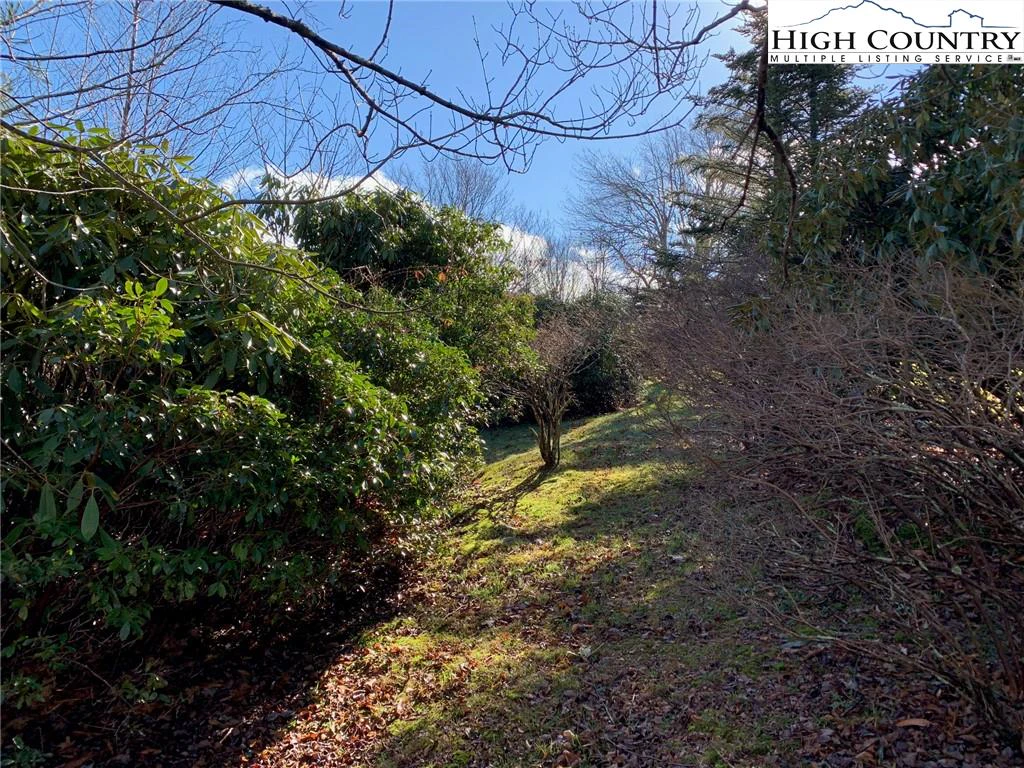 Image number 11 for the current listing