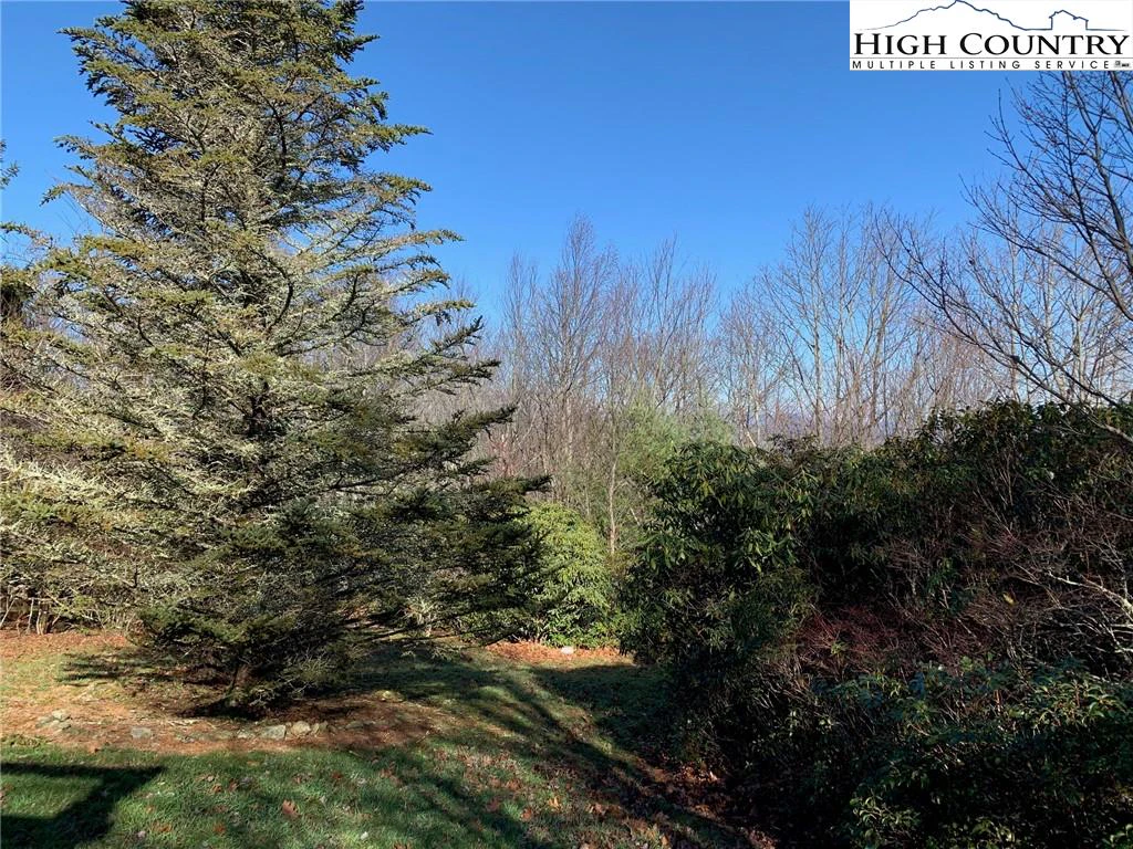 Image number 9 for the current listing