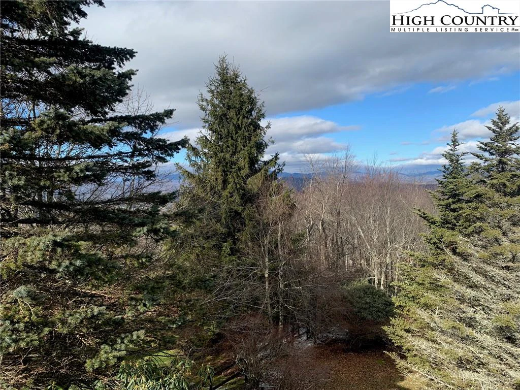 Image number 4 for the current listing