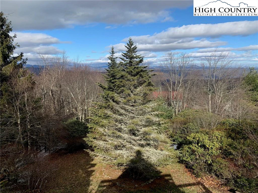 Image number 3 for the current listing
