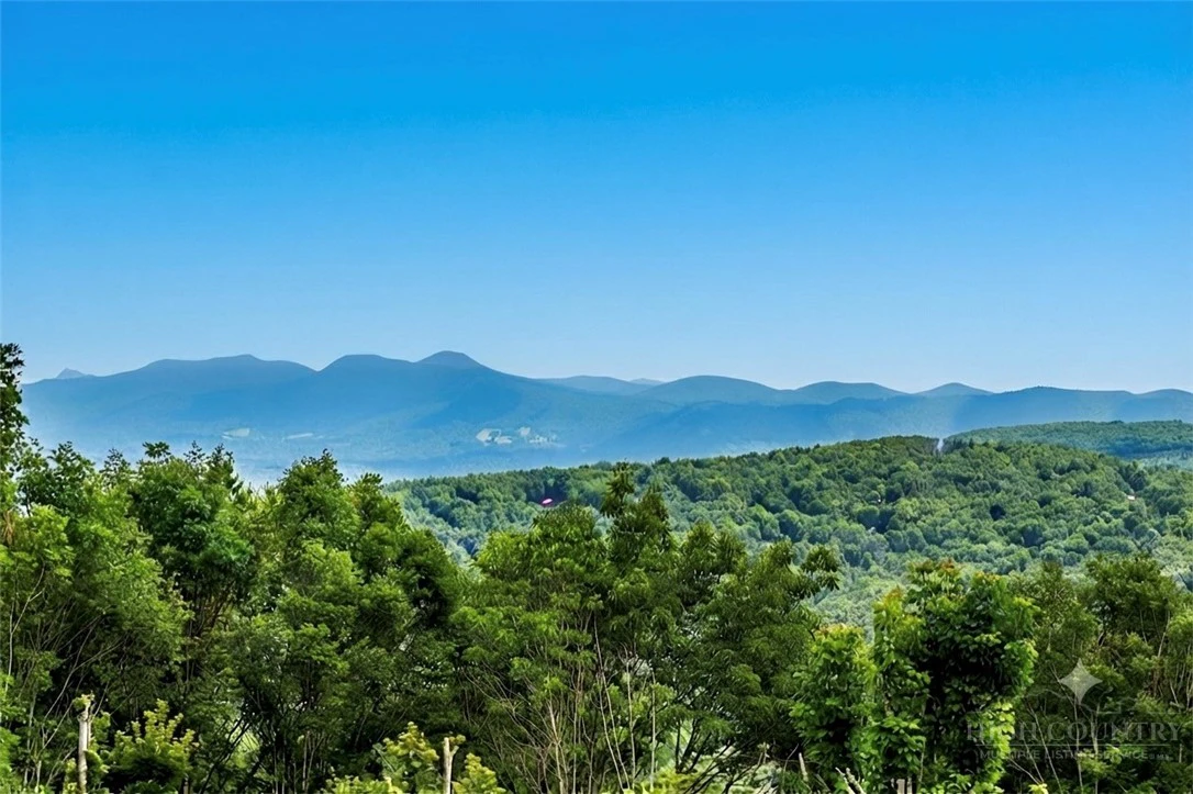 Image number 3 for the current listing