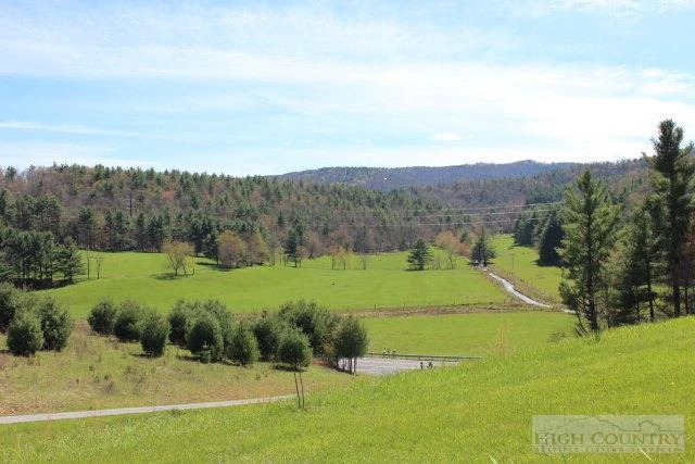 Image number 2 for the current listing