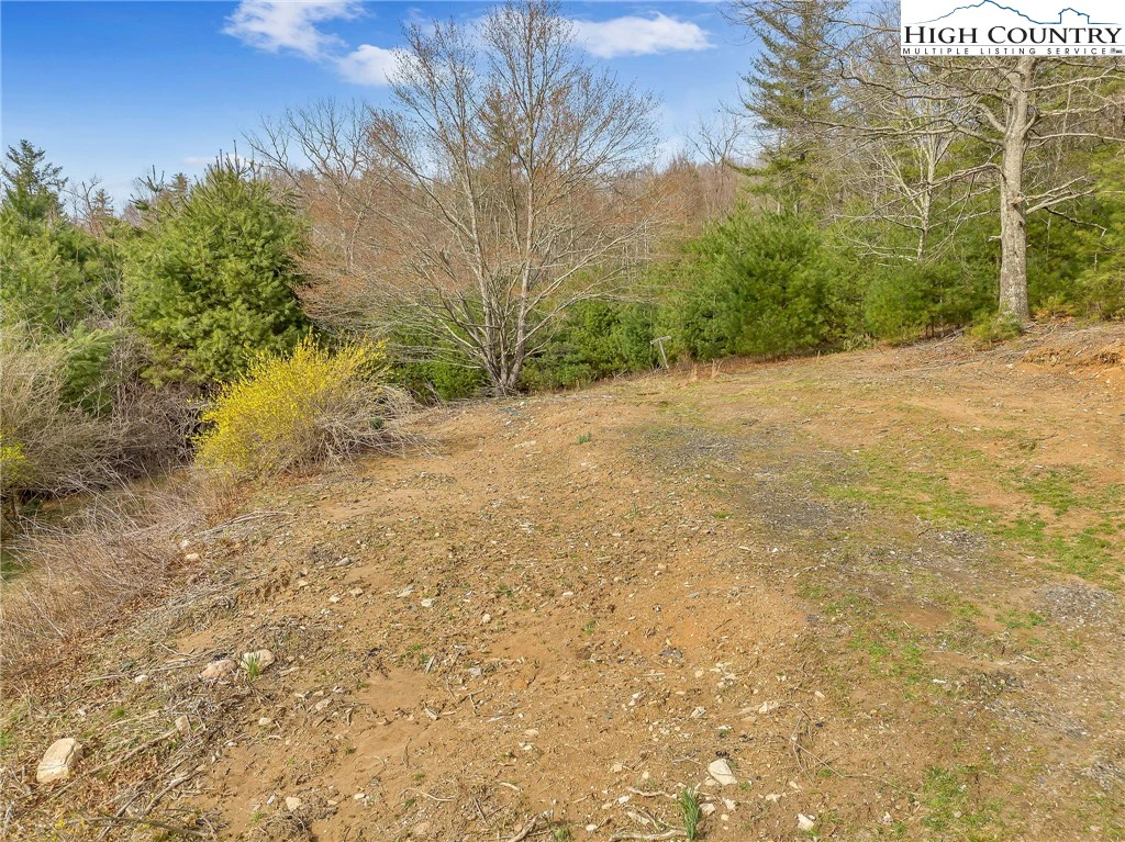 Image number 16 for the current listing