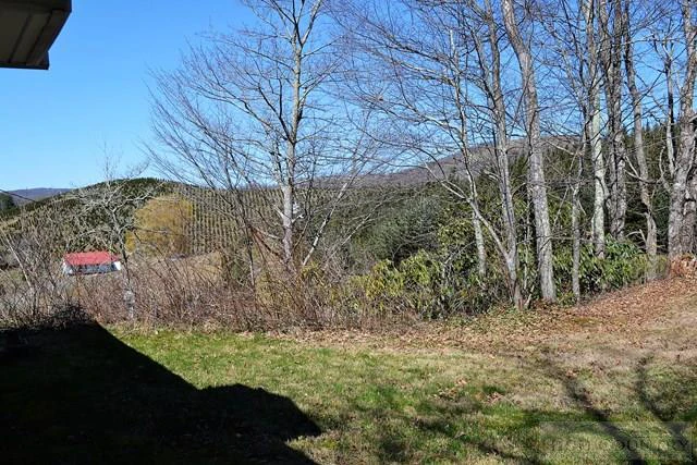 Image number 14 for the current listing