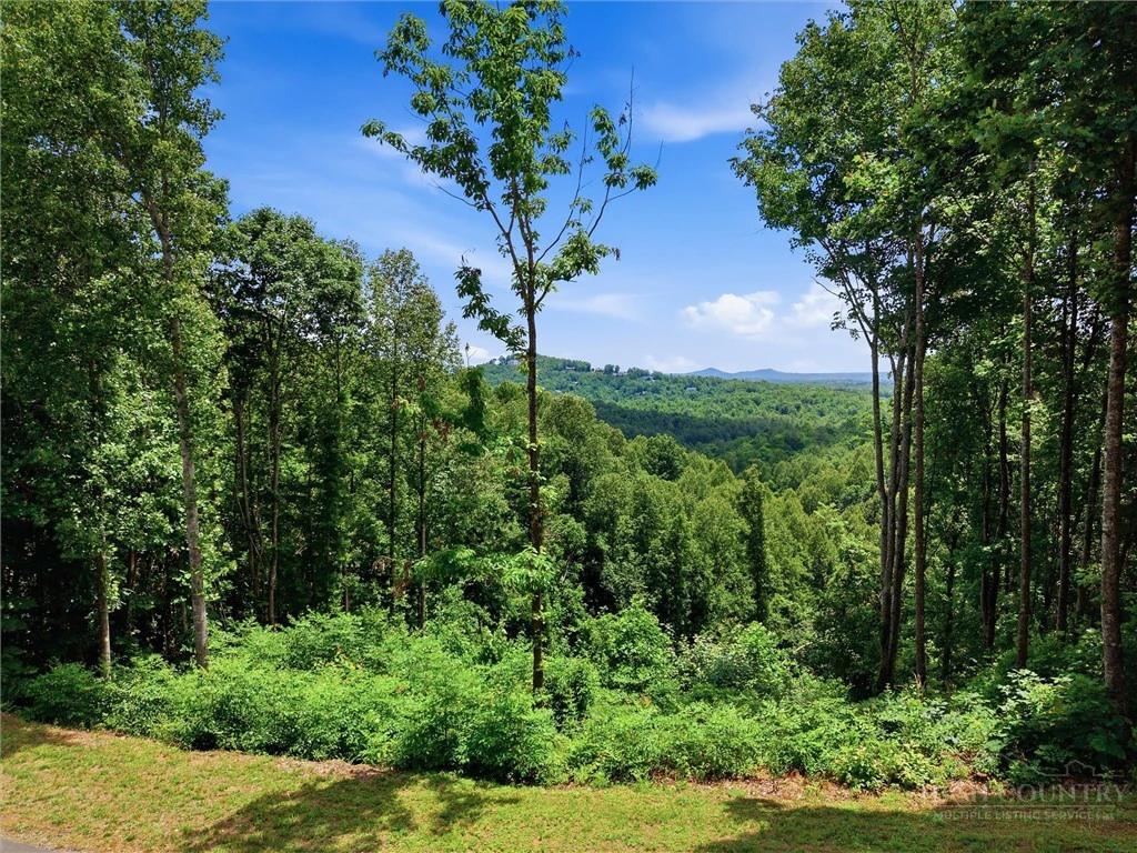 Image number 1 for the current listing