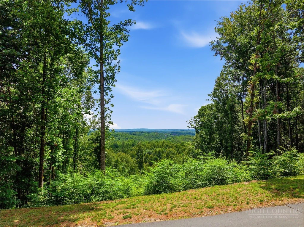 Image number 2 for the current listing