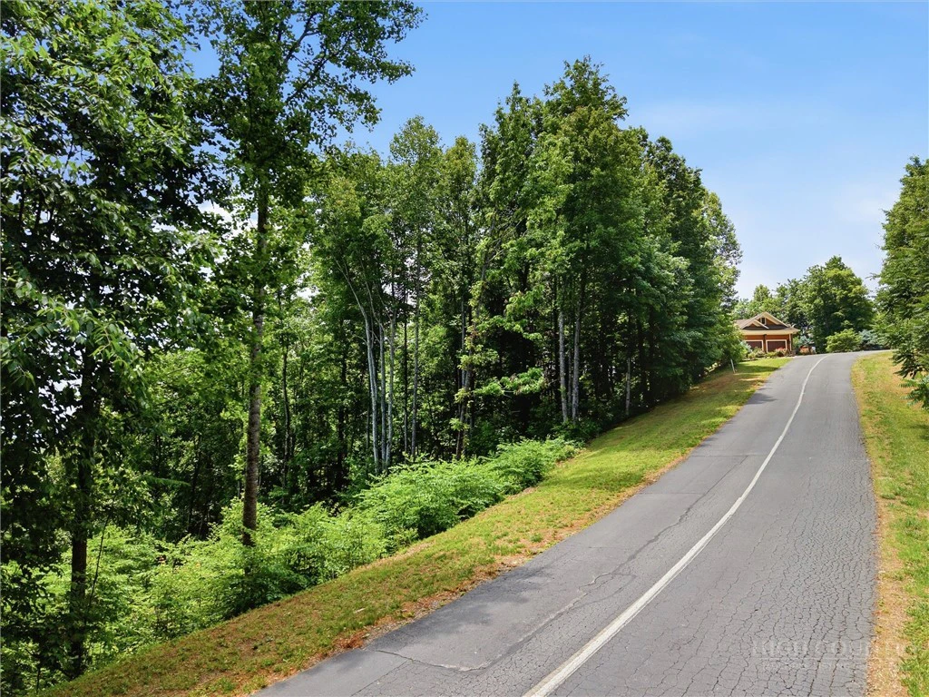 Image number 3 for the current listing