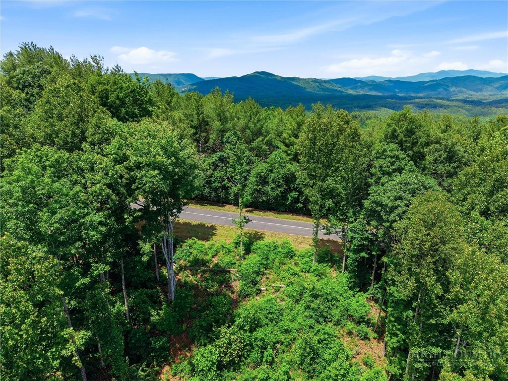 Image number 5 for the current listing