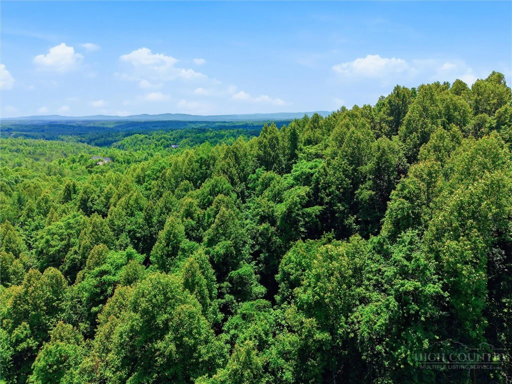 Image number 6 for the current listing