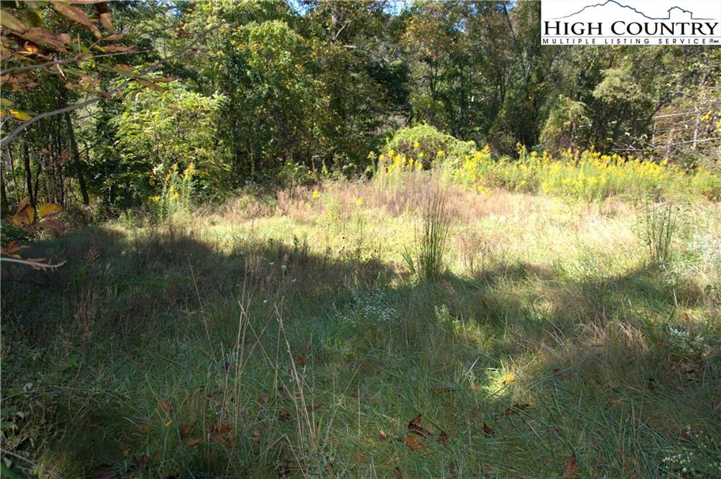 Image number 5 for the current listing
