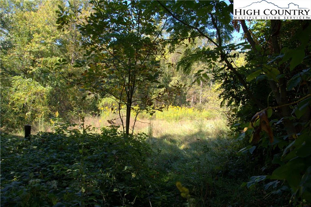 Image number 4 for the current listing