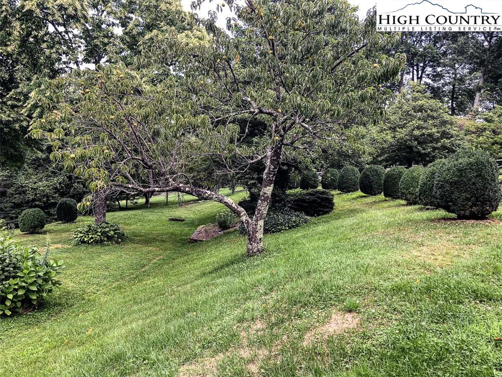 Image number 21 for the current listing