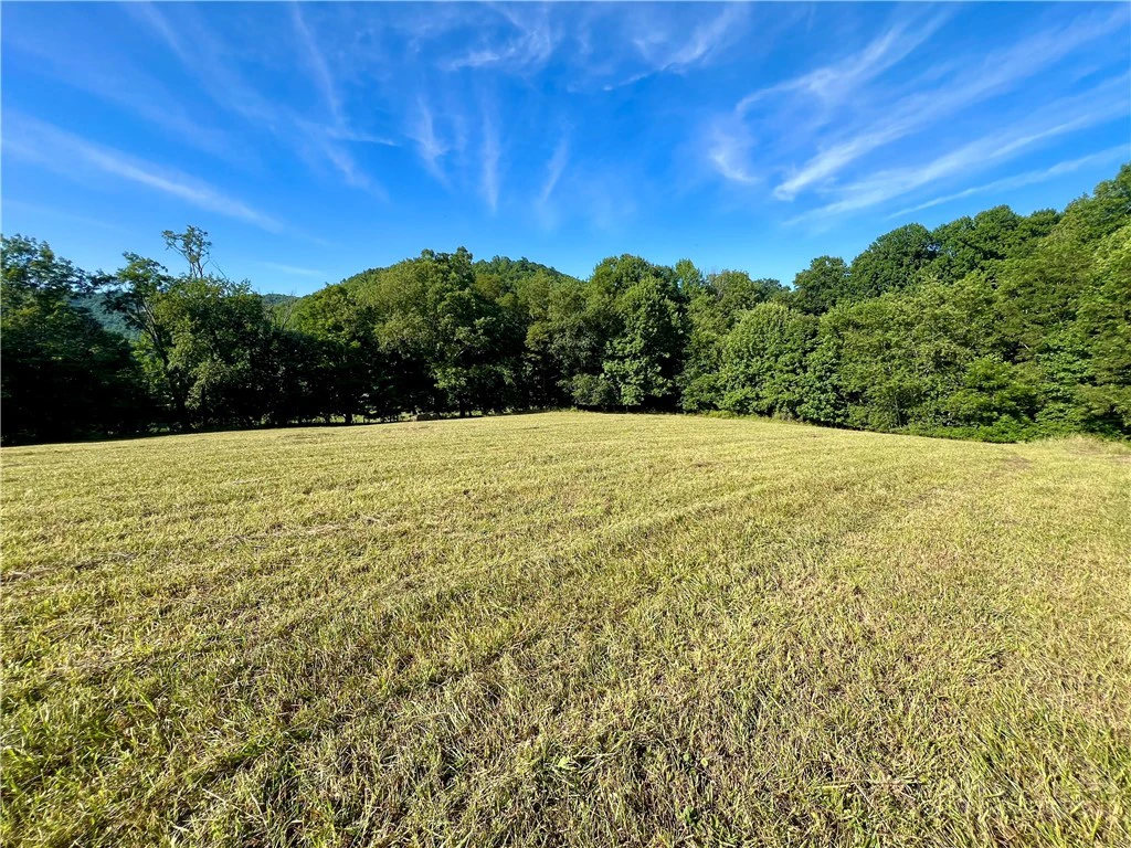 Image number 3 for the current listing