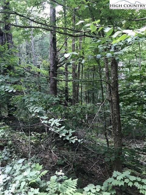 Image number 3 for the current listing
