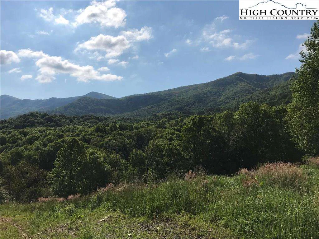 Image number 1 for the current listing