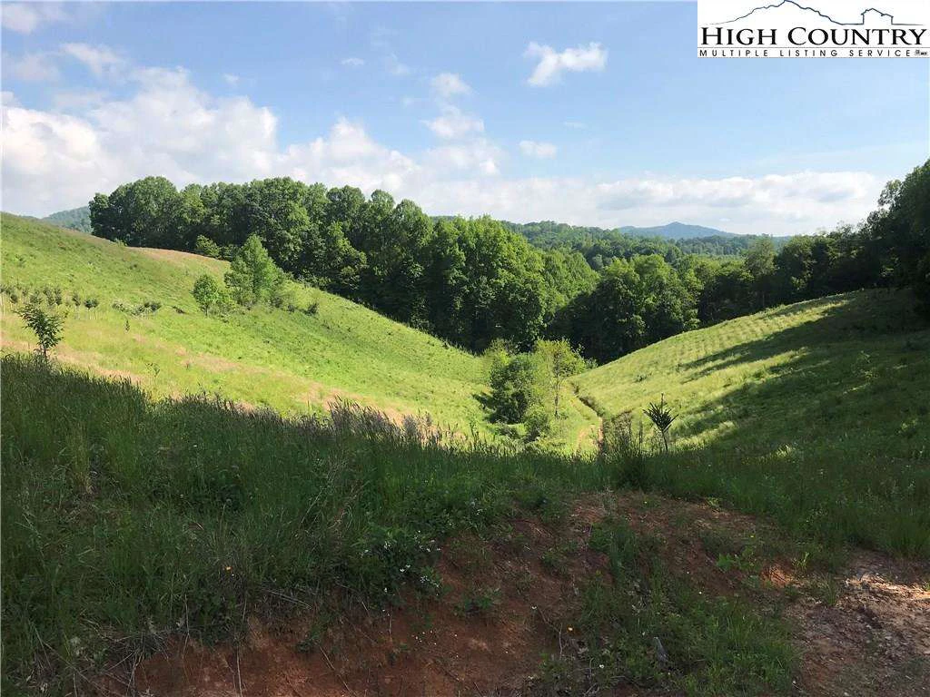 Image number 7 for the current listing