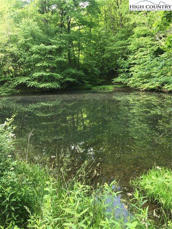 Image number 9 for the current listing