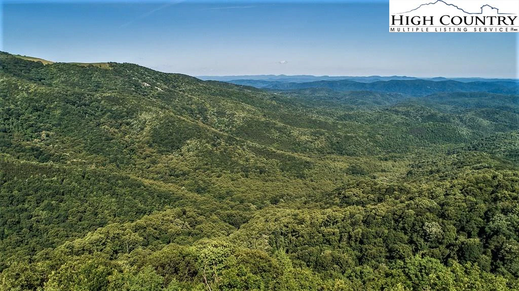 Image number 21 for the current listing