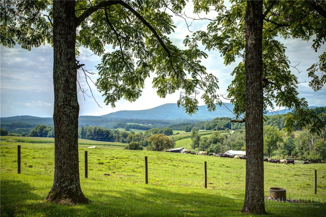 Image number 11 for the current listing