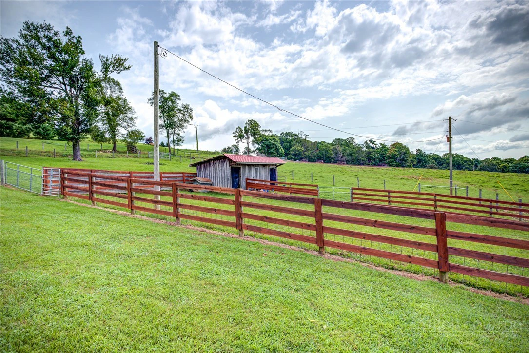Image number 14 for the current listing
