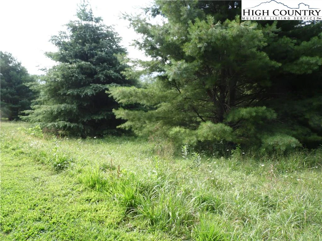 Image number 11 for the current listing