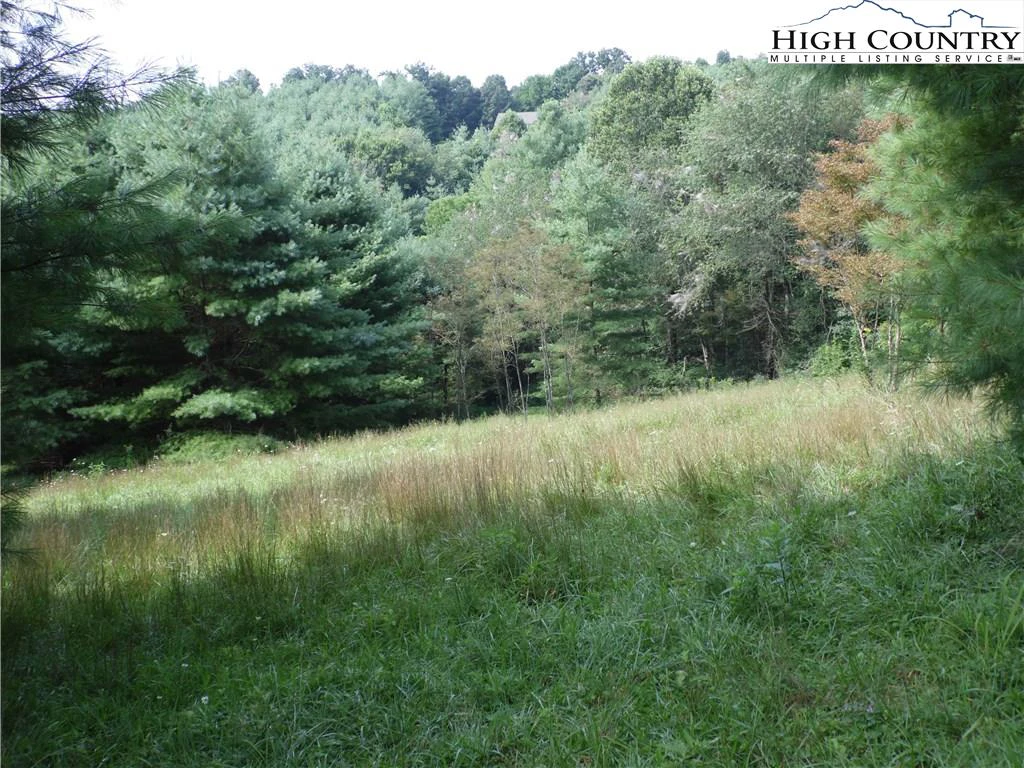 Image number 13 for the current listing