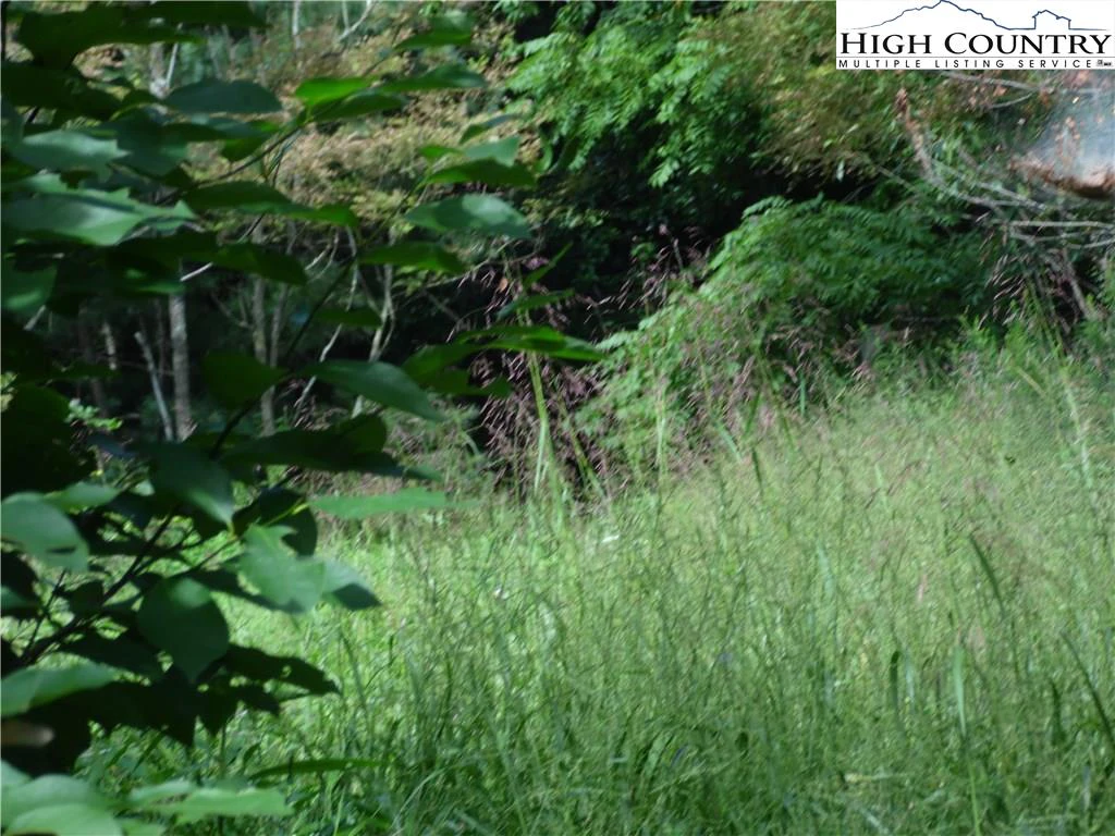 Image number 15 for the current listing