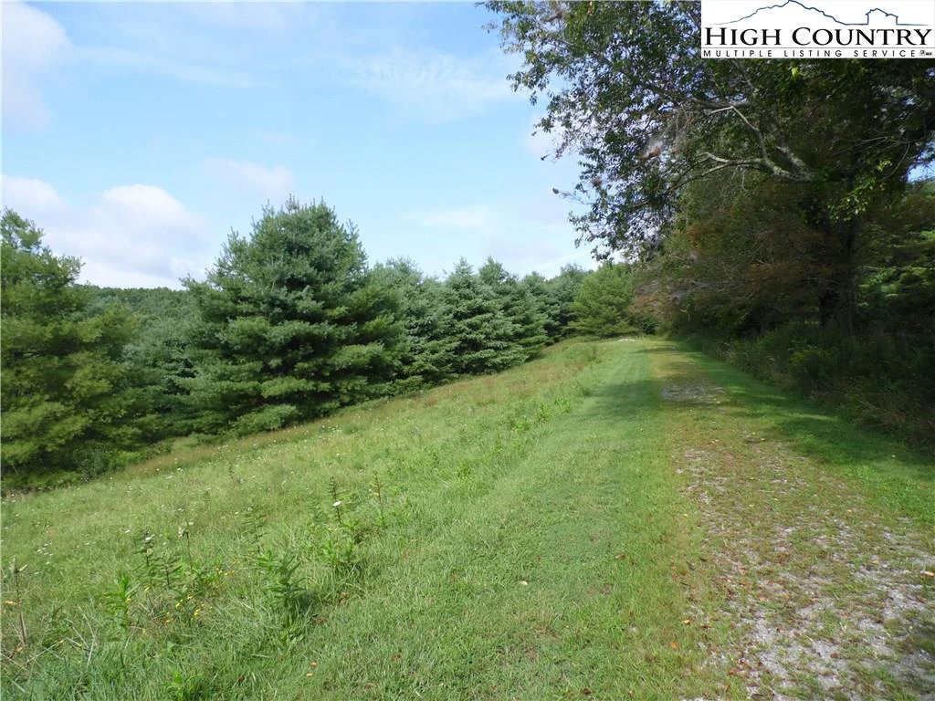 Image number 3 for the current listing